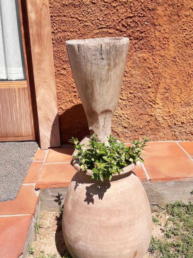 El Solei Paraiso En El Montseny Arbúcies Kültér fotó