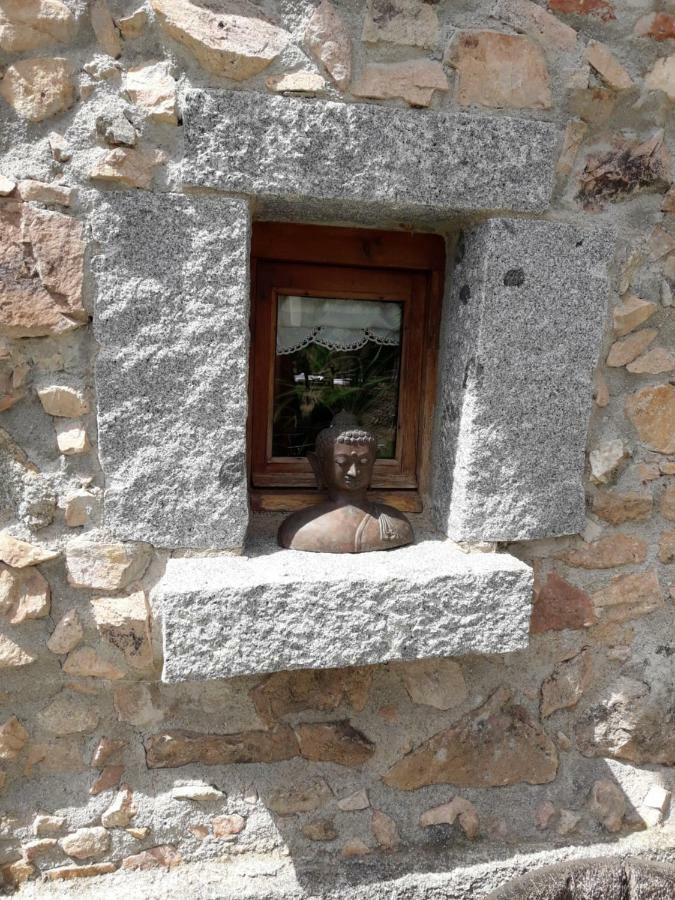 El Solei Paraiso En El Montseny Arbúcies Kültér fotó