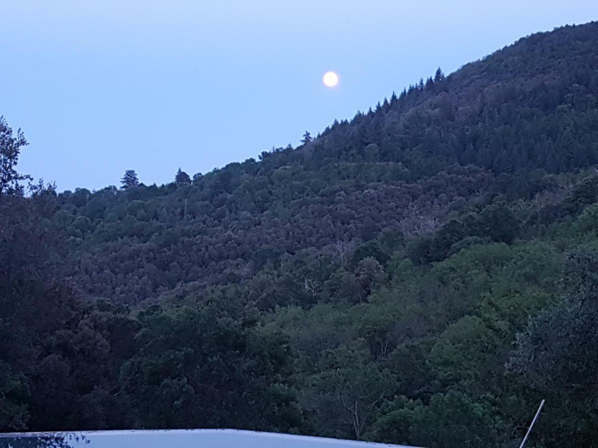 El Solei Paraiso En El Montseny Arbúcies Kültér fotó