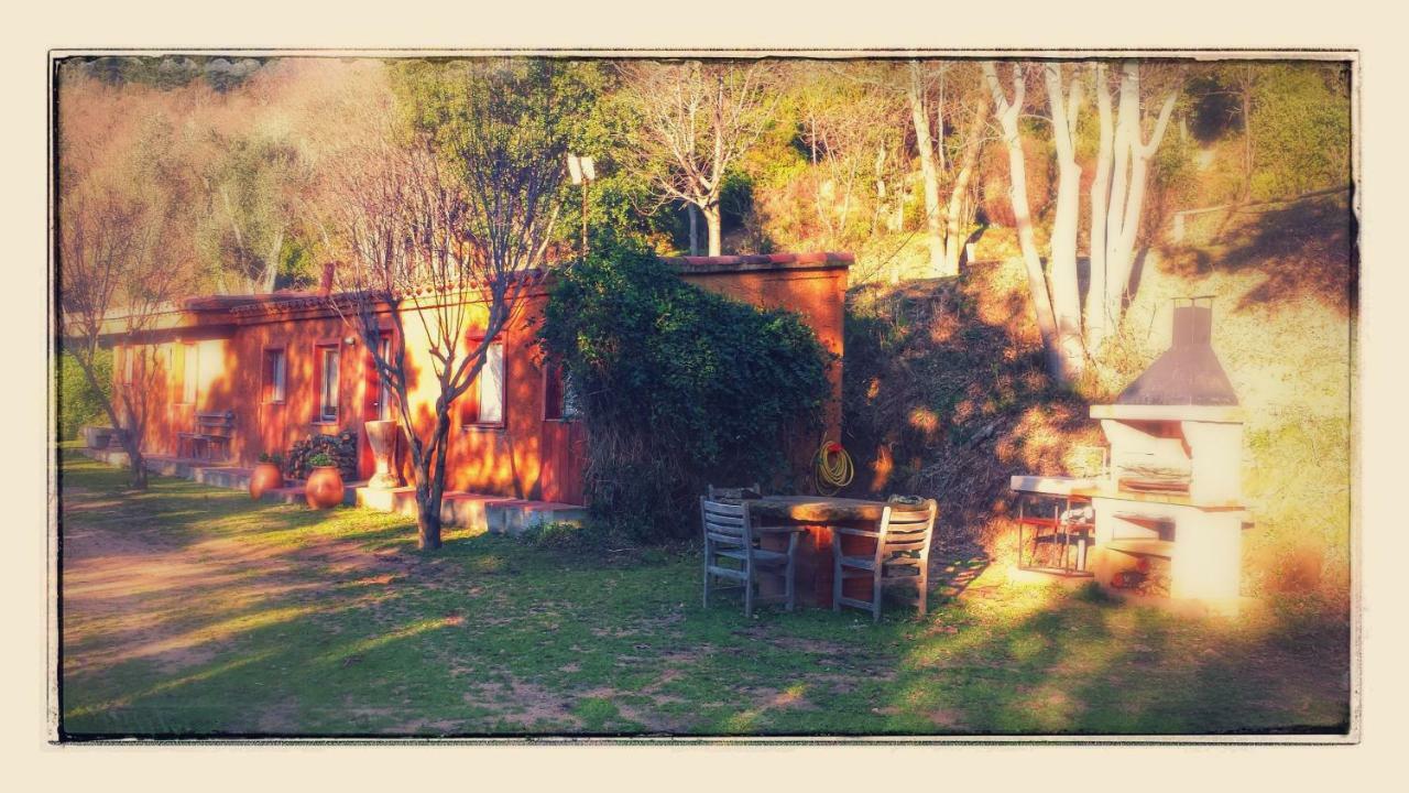 El Solei Paraiso En El Montseny Arbúcies Kültér fotó