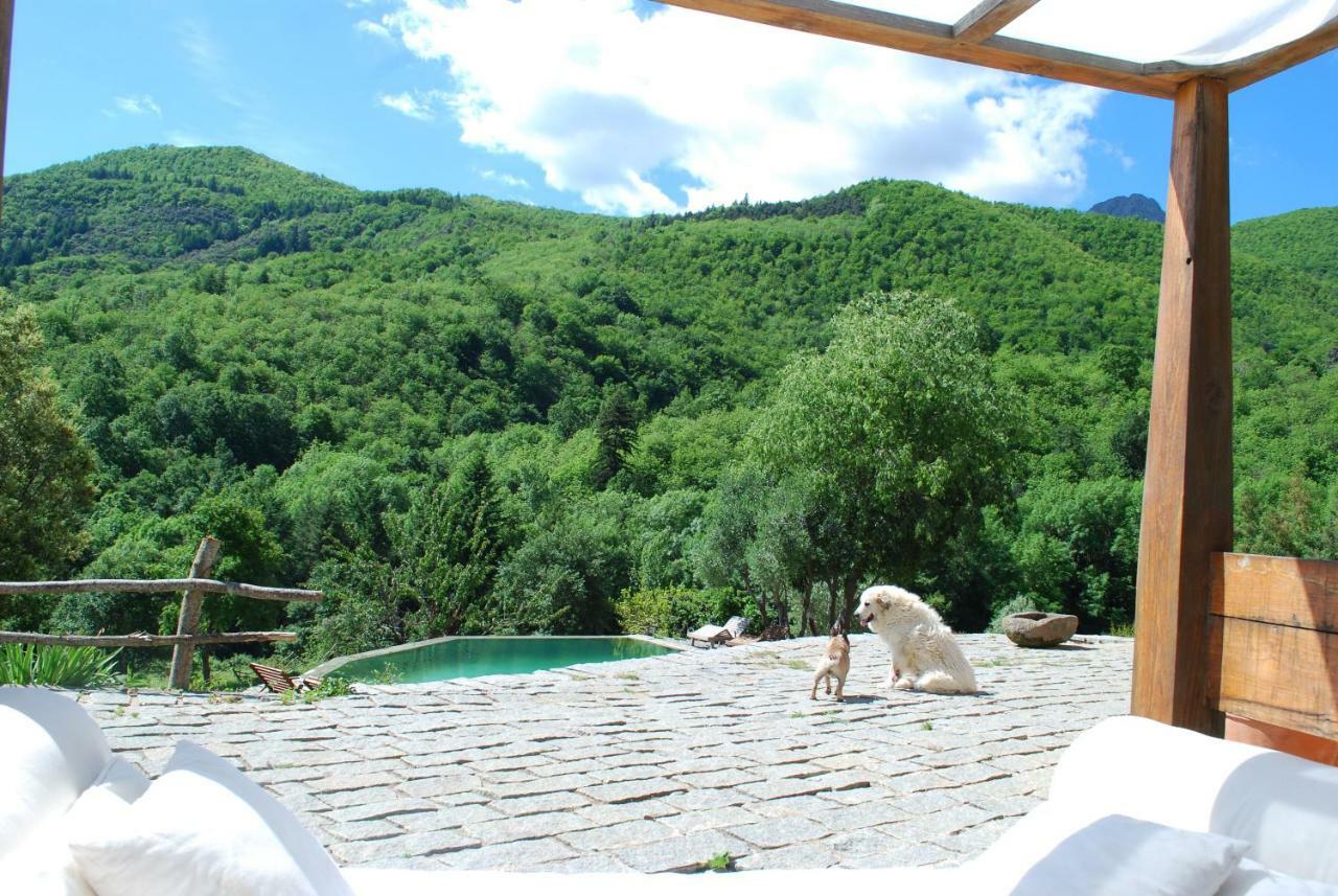 El Solei Paraiso En El Montseny Arbúcies Kültér fotó