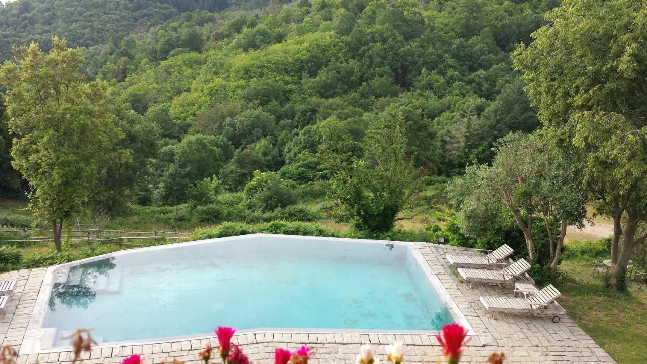 El Solei Paraiso En El Montseny Arbúcies Kültér fotó